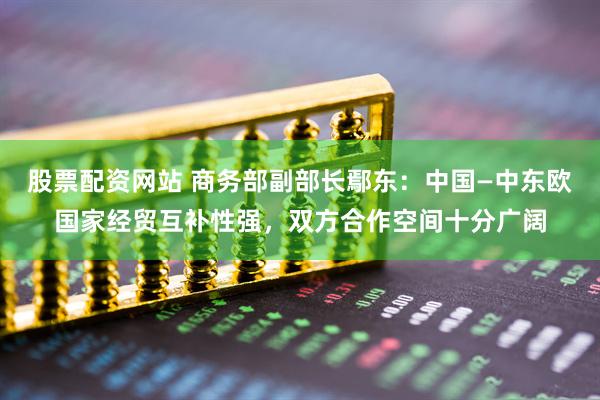 股票配资网站 商务部副部长鄢东：中国—中东欧国家经贸互补性强，双方合作空间十分广阔
