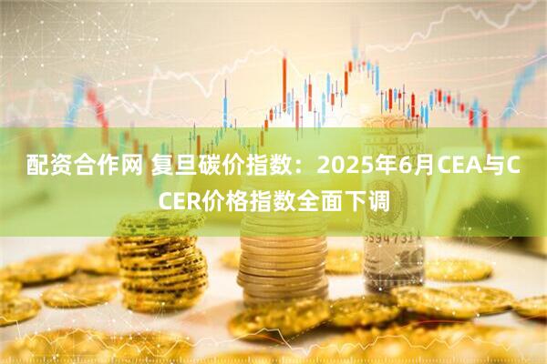 配资合作网 复旦碳价指数：2025年6月CEA与CCER价格指数全面下调