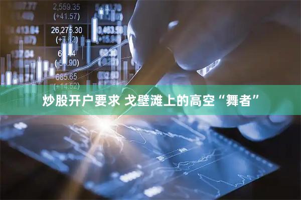 炒股开户要求 戈壁滩上的高空“舞者”